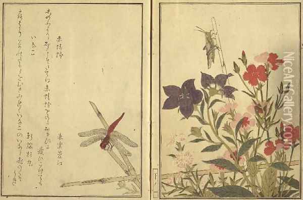 Chinese ballon flower and reptiles and flowers, from an illustrated book on flowers, insects and reptiles Oil Painting - Kitagawa Utamaro