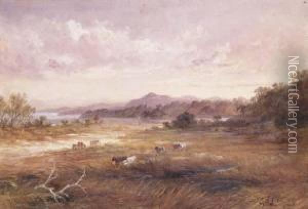 Coastal Scene With Cattle, New South Wales Oil Painting - James Howe Carse
