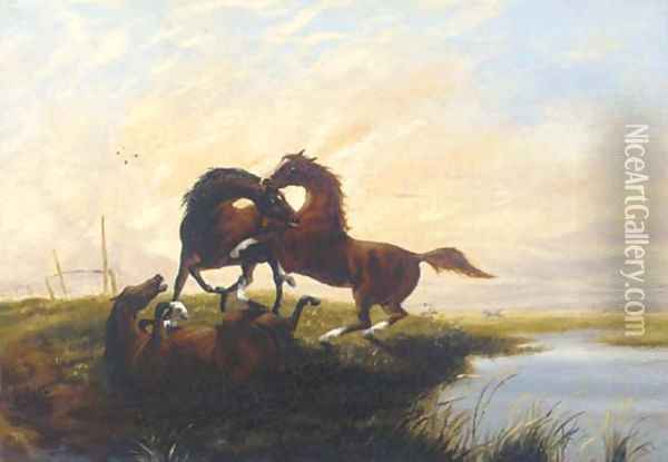 Horses fighting at sunset Oil Painting - English School