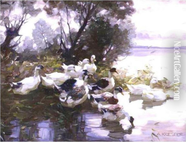 Ducks Oil Painting - Alexander Max Koester