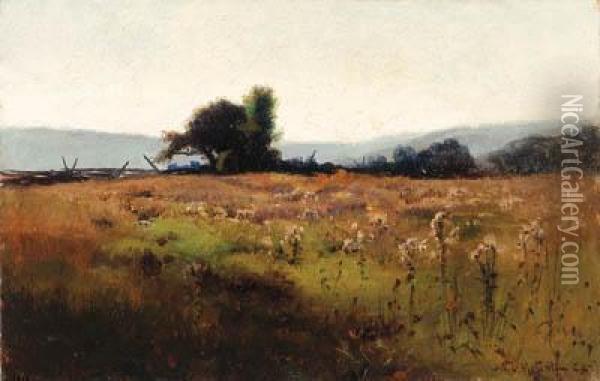 Mountain View From High Field Oil Painting - Willard Leroy Metcalf