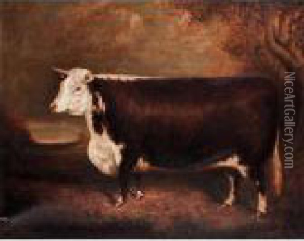 Merry Agnes - 33rd, Champion Hereford Heifer Oil Painting - Herbert Jones