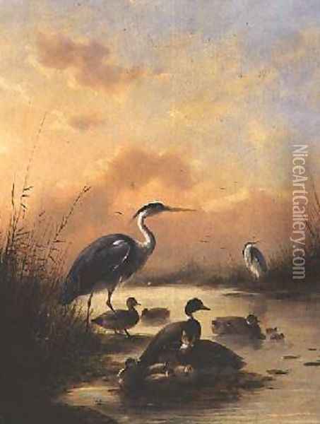 A family of Mallard and two Herons Oil Painting - Augustus Knip