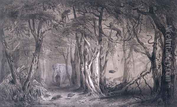 Virgin Forest on the Edge of the Blue Nile, from Voyages au Soudan Oriental et dans lAfrique Septentrionale by Pierre Tremaux 1818-95 engraved by Tirpenne and J. Gaildrau, 1852 Oil Painting - Pierre Tremaux