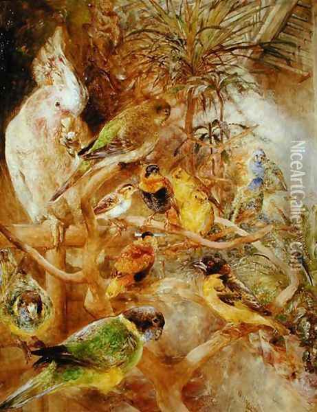 Bird Aviary Oil Painting - William Huggins