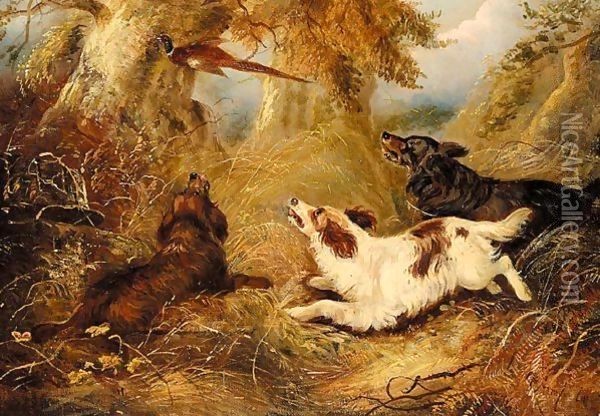 Spaniels And A Pheasant Oil Painting - George Armfield