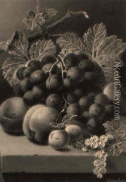 Fruit On A Ledge Oil Painting - Oliver Clare