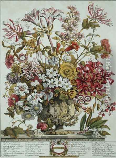 October, from 'Twelve Months of Flowers' Oil Painting - Pieter Casteels