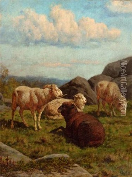 Moutons Au Paturage Oil Painting - Giuseppe Palizzi