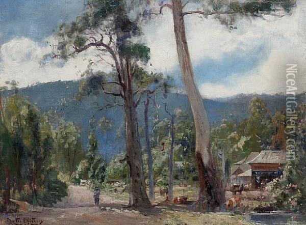 Morning Sun Through Gums, Eltham, Victoria Oil Painting - Walter Withers