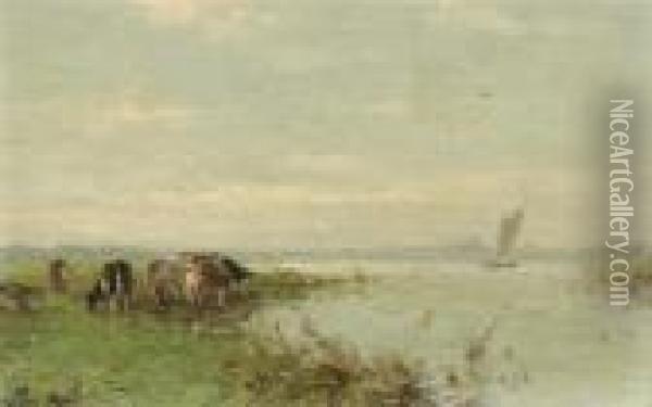 Grazing Cows At A River Oil Painting - Willem Maris
