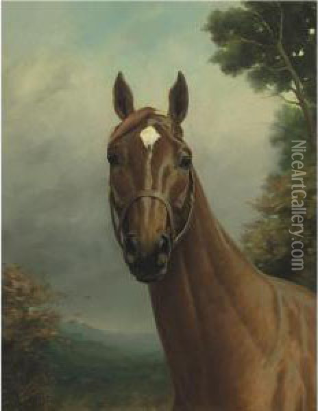 Man O' War Oil Painting - Percy Earl
