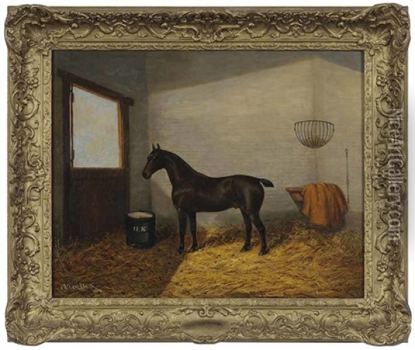 A Dark Bay Horse In A Loose Box Oil Painting - Albert Clark