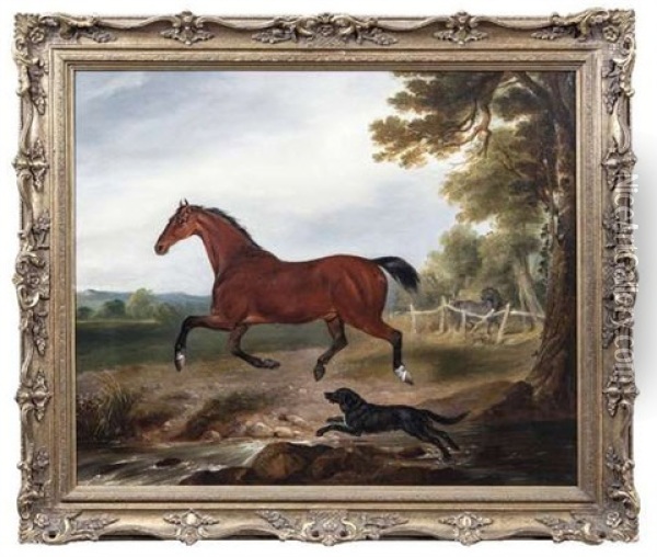 A Bay Stallion With A Dog In Landscape Oil Painting - William Brocas