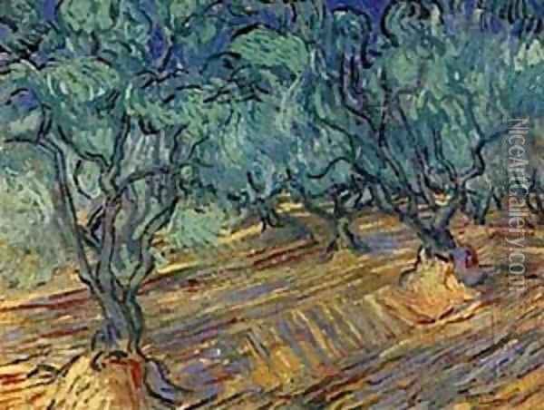 Olive Grove Bright Blue Sky 1889 Oil Painting - Vincent Van Gogh