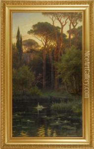 Landscape With A Swan And A Lily Pond Oil Painting - Johann Zahnd