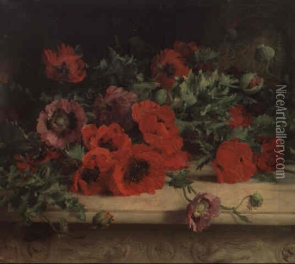 Poppies Oil Painting - William Jabez Muckley