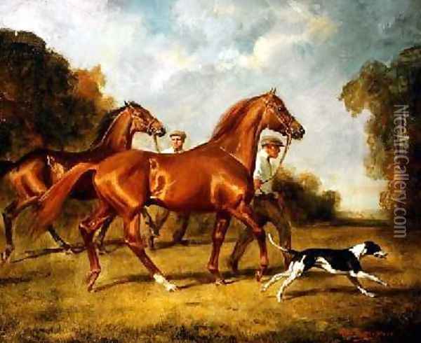 Exercising the Horses Oil Painting - H. Raoul Millais