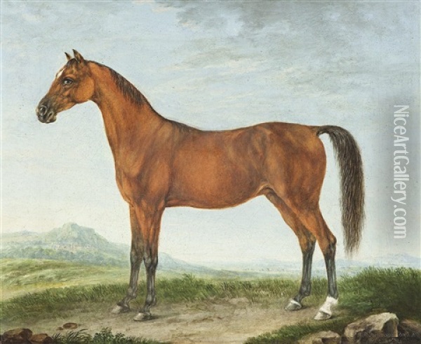 Portrat Eines Araberpferdes Oil Painting - Johann Friedrich Steinkopf