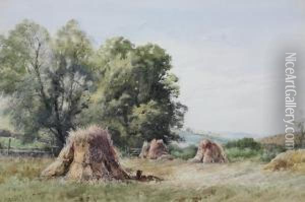 Hayfield Oil Painting - Edwin St John