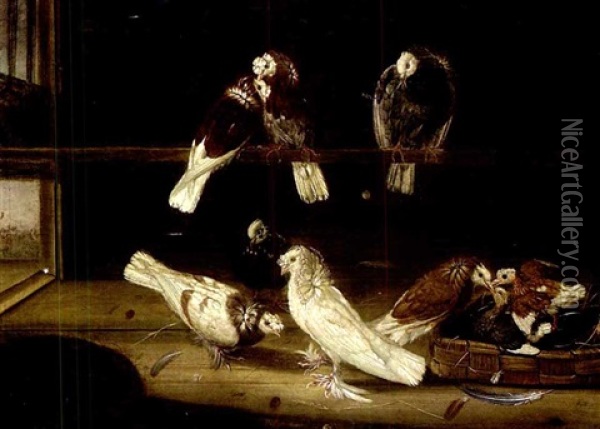 Taubenschlag Mit Mehreren Tauben Und Nest Oil Painting - Johann Friedrich Seupel
