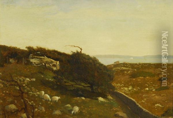 Naushon Island Oil Painting - Lemuel D. Eldred