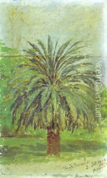Le Palmier Oil Painting - Antonietta Brandeis