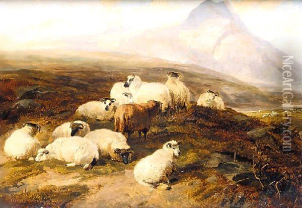Highland Scene With Sheep And A Highland Cow Oil Painting - Thomas Sidney Cooper