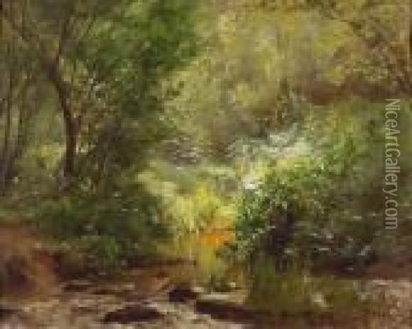 Waldlandschaft Mit Kleinem Bach. Oil Painting - Francois Louis Francais