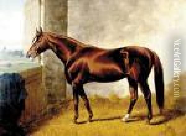 Bay Horse In Stall Oil Painting - Henry Stull