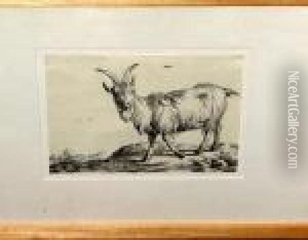 [mountain Goat] Oil Painting - Paulus Potter