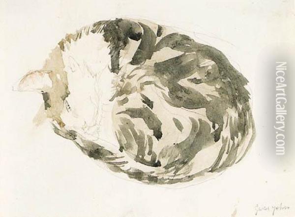 Tortoiseshell Cat Curled Up Oil Painting - Gwendolen John