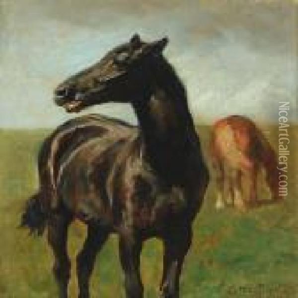 Horses In The Field Oil Painting - Otto Bache