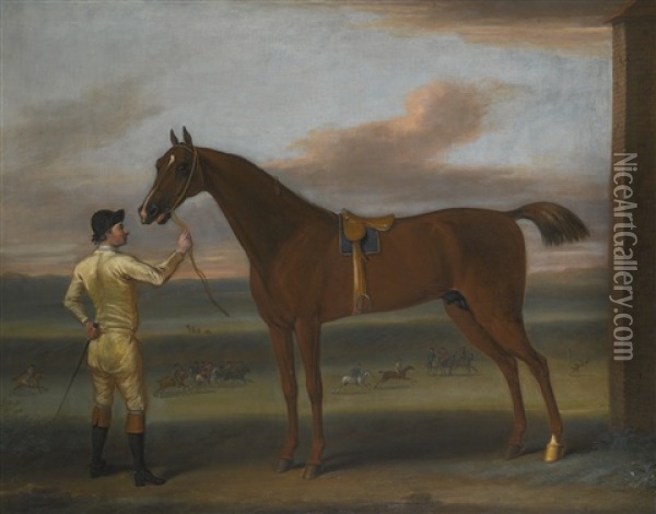 A Dark Chestnut Racehorse Held By A Jockey, By The Rubbing Down House, Newmarket Heath Oil Painting - John Wootton
