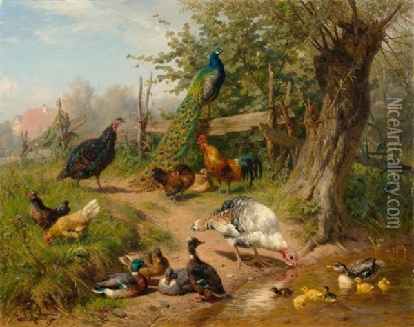 Truthahne, Enten, Huhner Und Ein Pfau Am Wasser Oil Painting - Carl Jutz the Elder