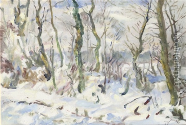 A Snowy Winter Landscape Oil Painting - Erasmus Bernhard Van Dulmen Krumpelman