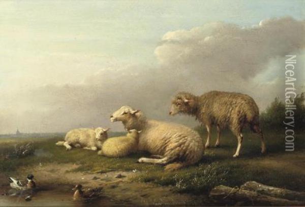 Sheep Resting In The Pasture Oil Painting - Franz van Severdonck