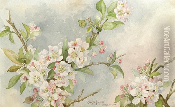 Gentle Waking (apple Blossoms) Oil Painting - Paul De Longpre