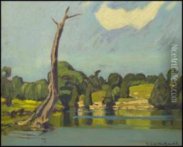 Little River Oil Painting - James Edward Hervey MacDonald