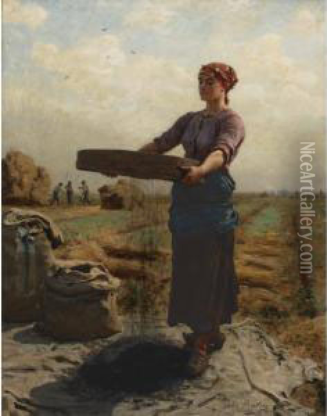 Peasant Woman Sifting Rapeseed Oil Painting - Jules Breton