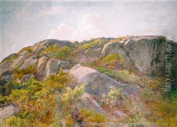 Fjellandskap Oil Painting - Wilhelm Peters