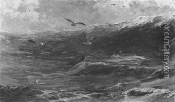 Mermaids In Open Sea Oil Painting - Edward Matthew Hale
