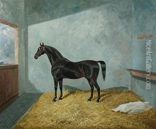 Cavaliero, A Dark Bay Hunter In A Stable Oil Painting - James Clark