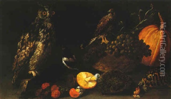 A Still Life Of Grapes In A Basket, Other Fruits And Mushrooms, With An Owl, A Falcon, A Magie, A Hedgehog And A Turtle Oil Painting - Bartolommeo Bimbi