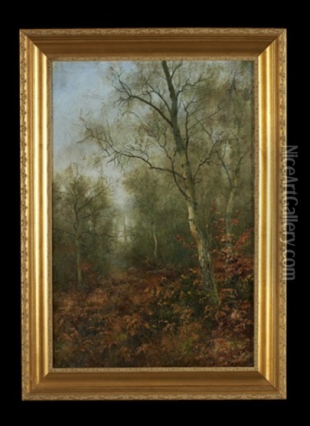 The Silver Birches Oil Painting - Walter Boodle