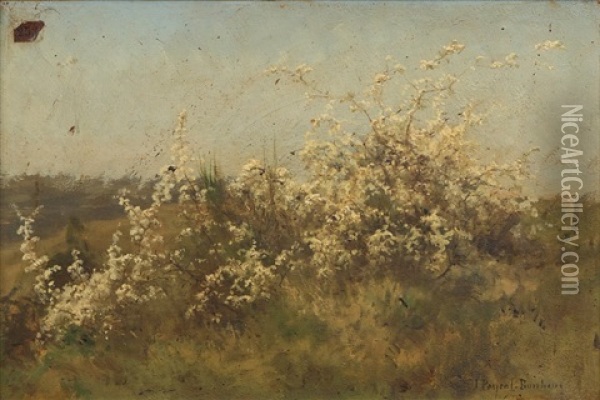 Arbres En Fleurs Oil Painting - Juliette Peyrol Bonheur