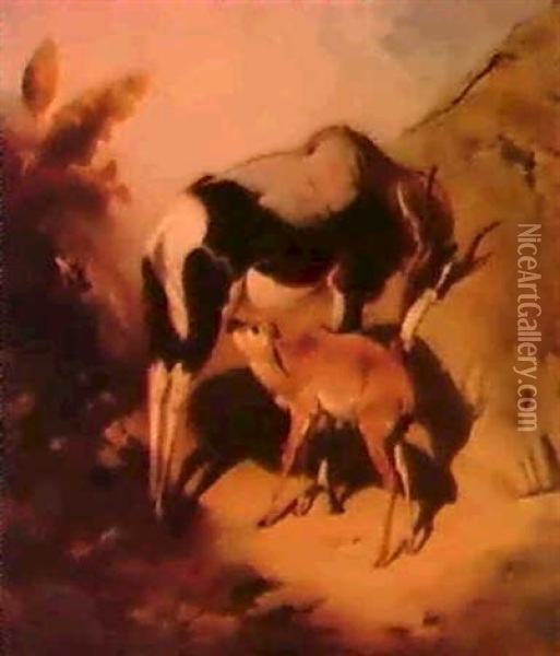An Oryx And Her Calf In Tropi-cal Landscape. Oil Painting - William Huggins
