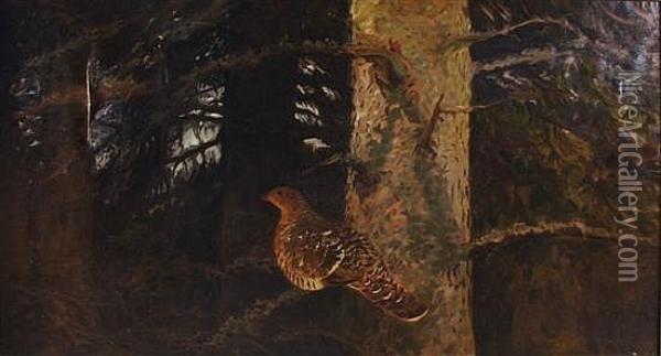 Quail At Roost Oil Painting - Bruno Andreas Liljefors