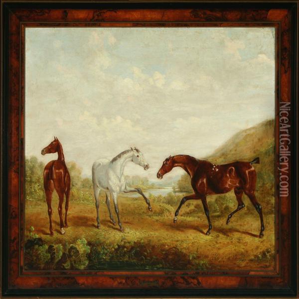 Landscape With Young Horses Oil Painting - W.J. Gilbert