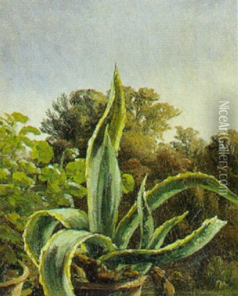 Agave Oil Painting - Anthonie Eleonore (Anthonore) Christensen